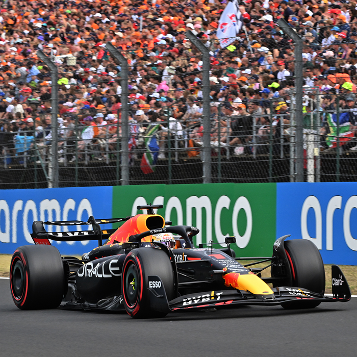 1:43 RB18 GP Hungary 2022 - Winner image