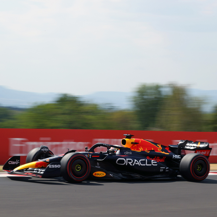 1:43 RB18 GP Hungary 2022 - Winner image