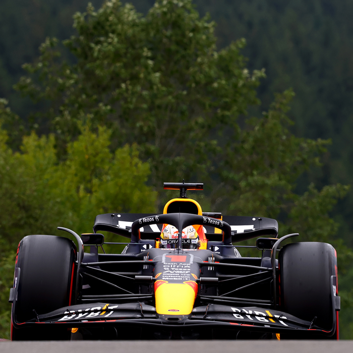 1:18 RB18 GP Spa 2022 - Winner image
