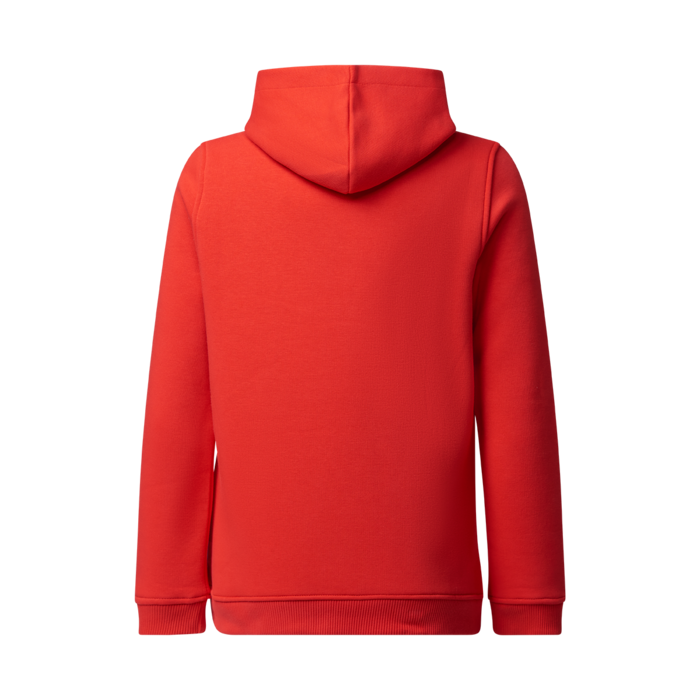 Kids - Hoodie Red Bull Racing - Red image