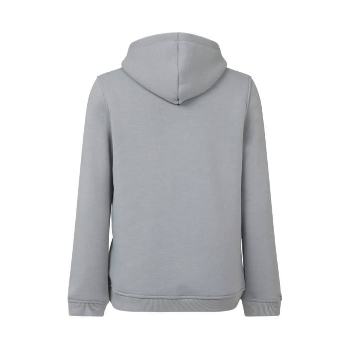 Kids - Hoodie Red Bull Racing - Grey image