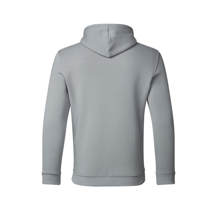 Hoodie Red Bull Racing - Grey image