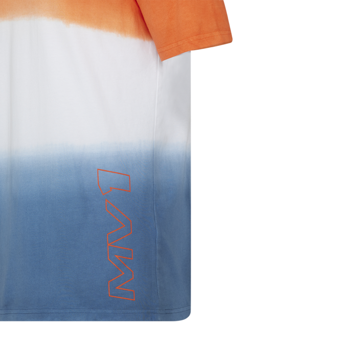 Tricolor Driver T-shirt Max Verstappen image