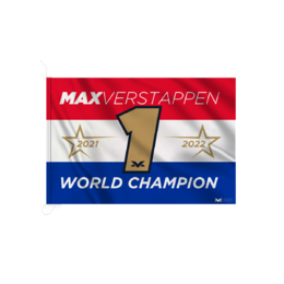 World Champion 2022 Hoodie › Sweaters ›