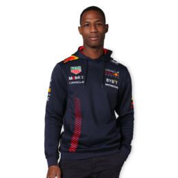 2022 Max Verstappen Red Bull World Champion Caricature Hoodie