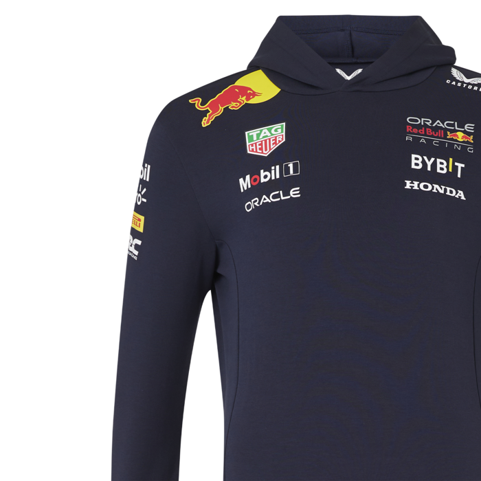 Mens - Team Hoodie 2024 image