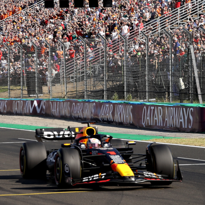 1:43 RB19 GP Hungary 2023 - Winner image