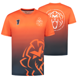 Max verstappen shirt best sale