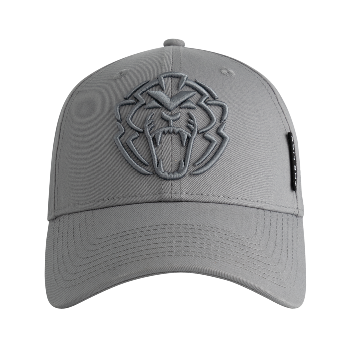 Cap - Charcoal - Unleash The Lion image