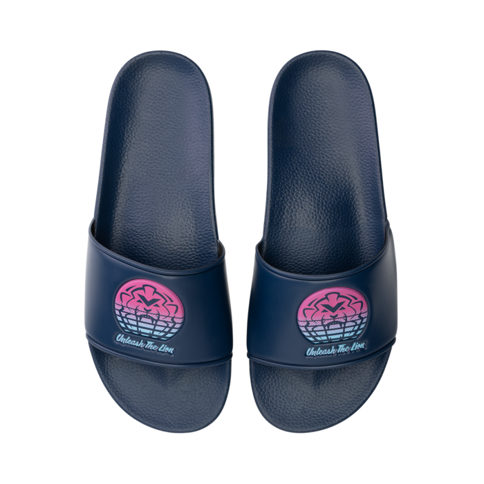 Unleash the Lion Miami Slides image