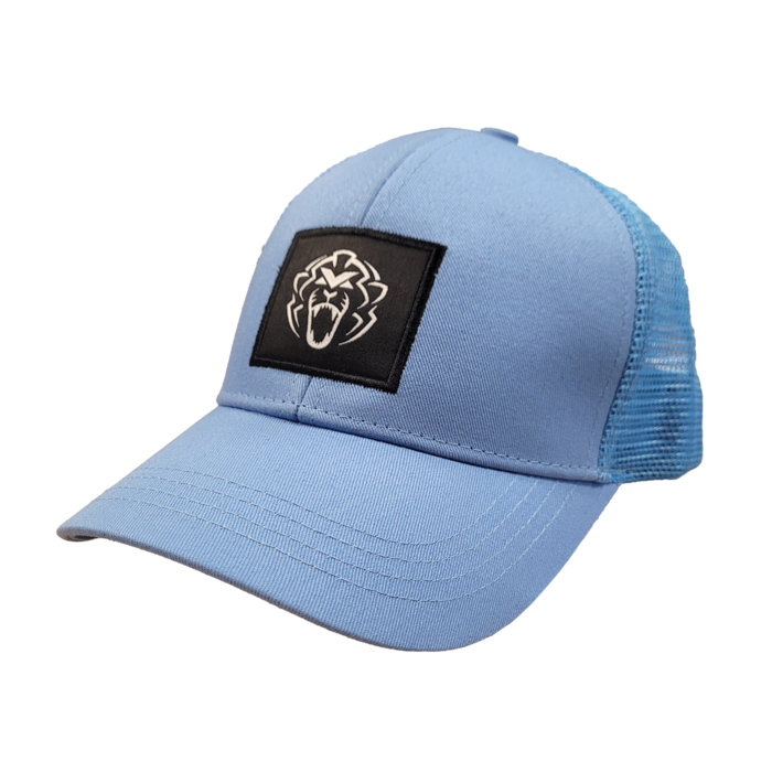 Cap Unleash the Lion - Light Blue image