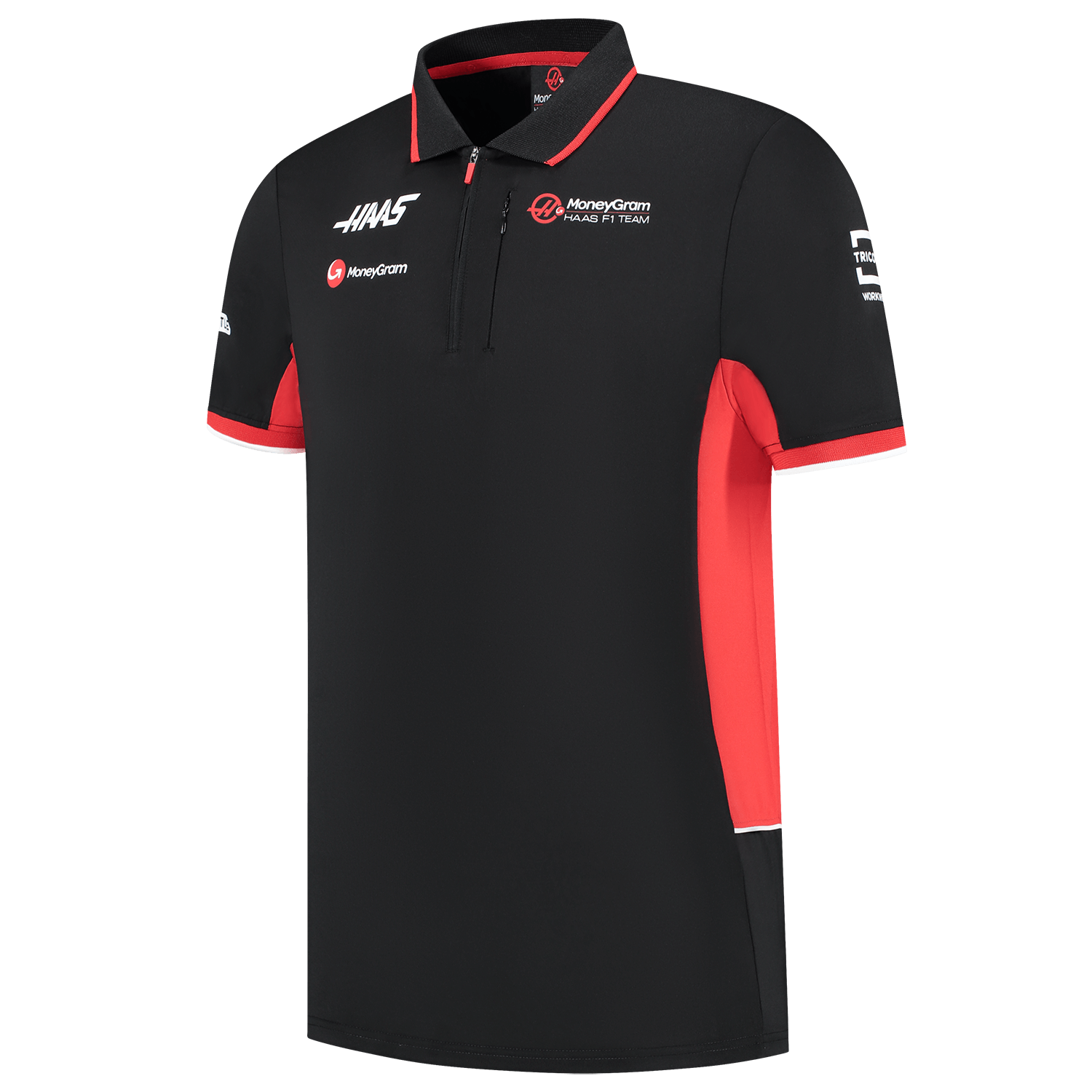 F1 polo online